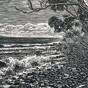 Noosa Headland