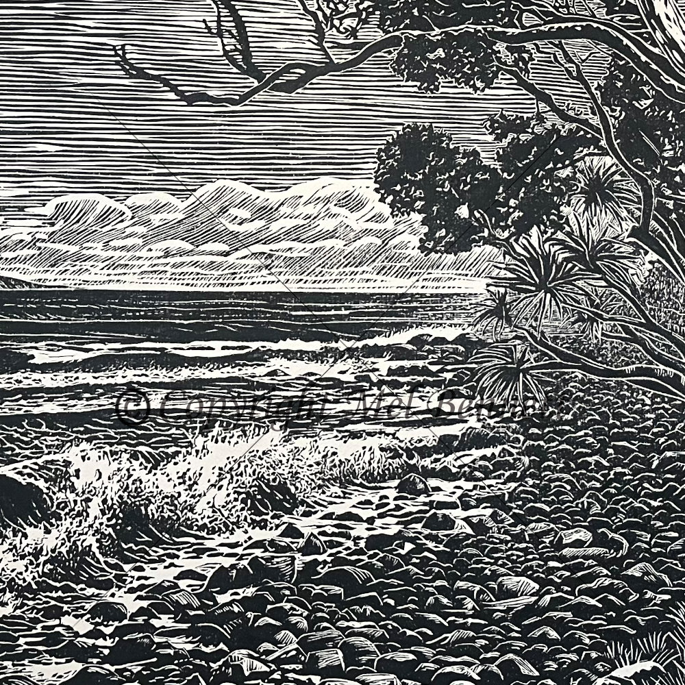 Noosa Headland